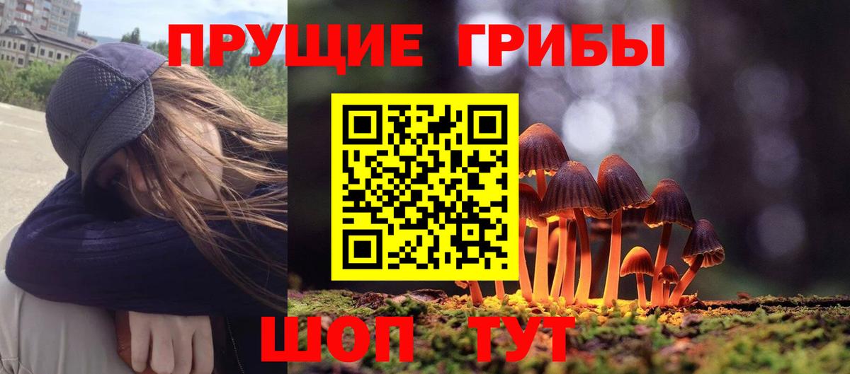 Галлюциногенные грибы GOLDEN TEACHER Апшеронск